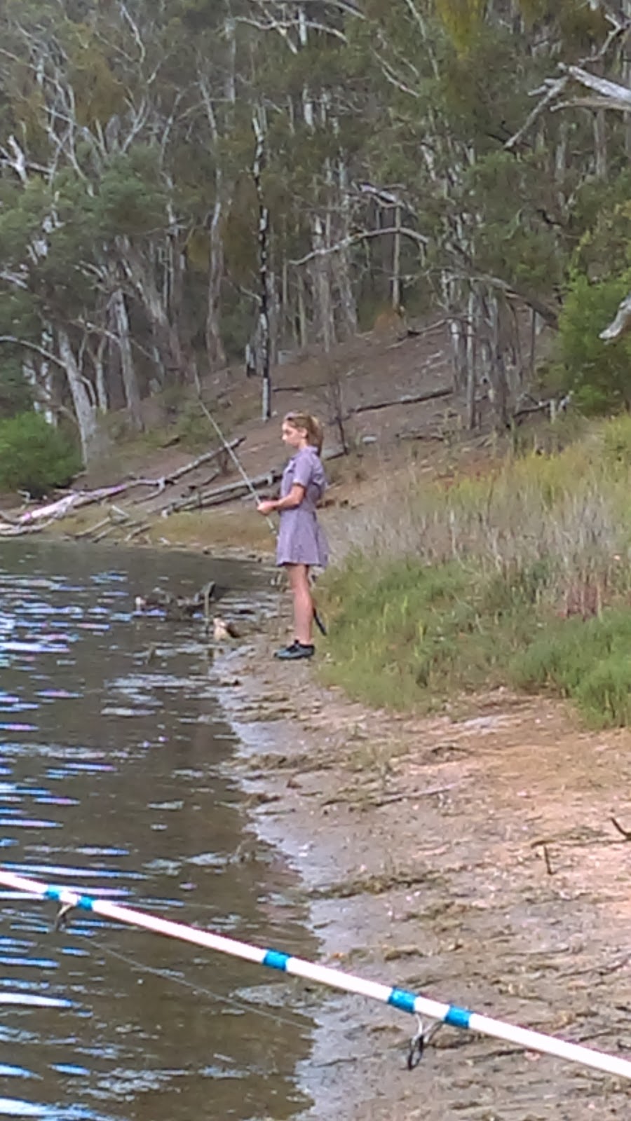 Lake Tyers State Park | Lake Tyers House Rd, Lake Tyers VIC 3887, Australia | Phone: 13 19 63