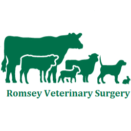 Romsey Veterinary Surgery | veterinary care | 80 Main St, Romsey VIC 3434, Australia | 0354295711 OR +61 3 5429 5711