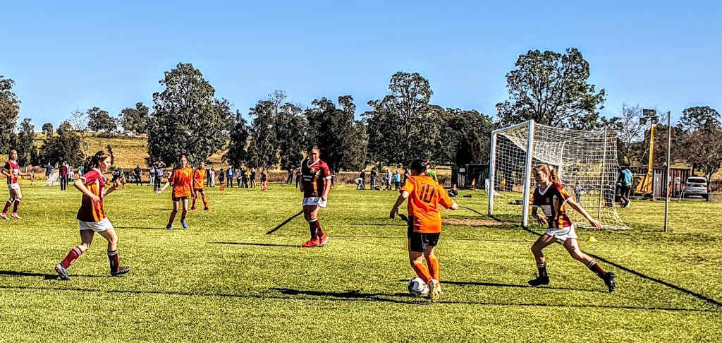 Camden Tigers Soccer Club | Ron Dine Memorial Reserve, McCrae Dr, Camden South NSW 2570, Australia | Phone: 0413 889 180