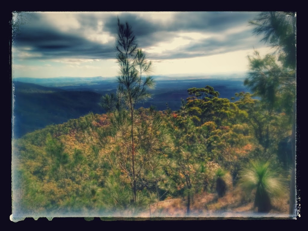 Turtle Head Rock | tourist attraction | Davies Creek Rd, Mareeba QLD 4880, Australia | 0740925674 OR +61 7 4092 5674