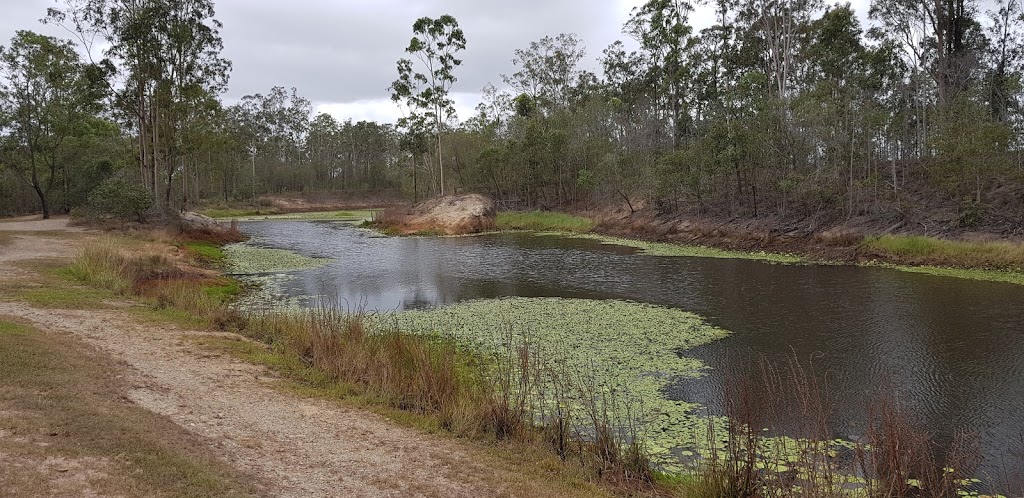 Lavelle Lagoon Community Bushcare Group | Argyle Rd, Greenbank QLD 4124, Australia | Phone: 0466 542 275