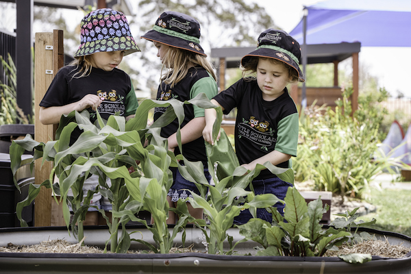 Little Scholars School of Early Learning Ashmore | Sturt Street &, Windsor Pl, Ashmore QLD 4214, Australia | Phone: (07) 5597 2605