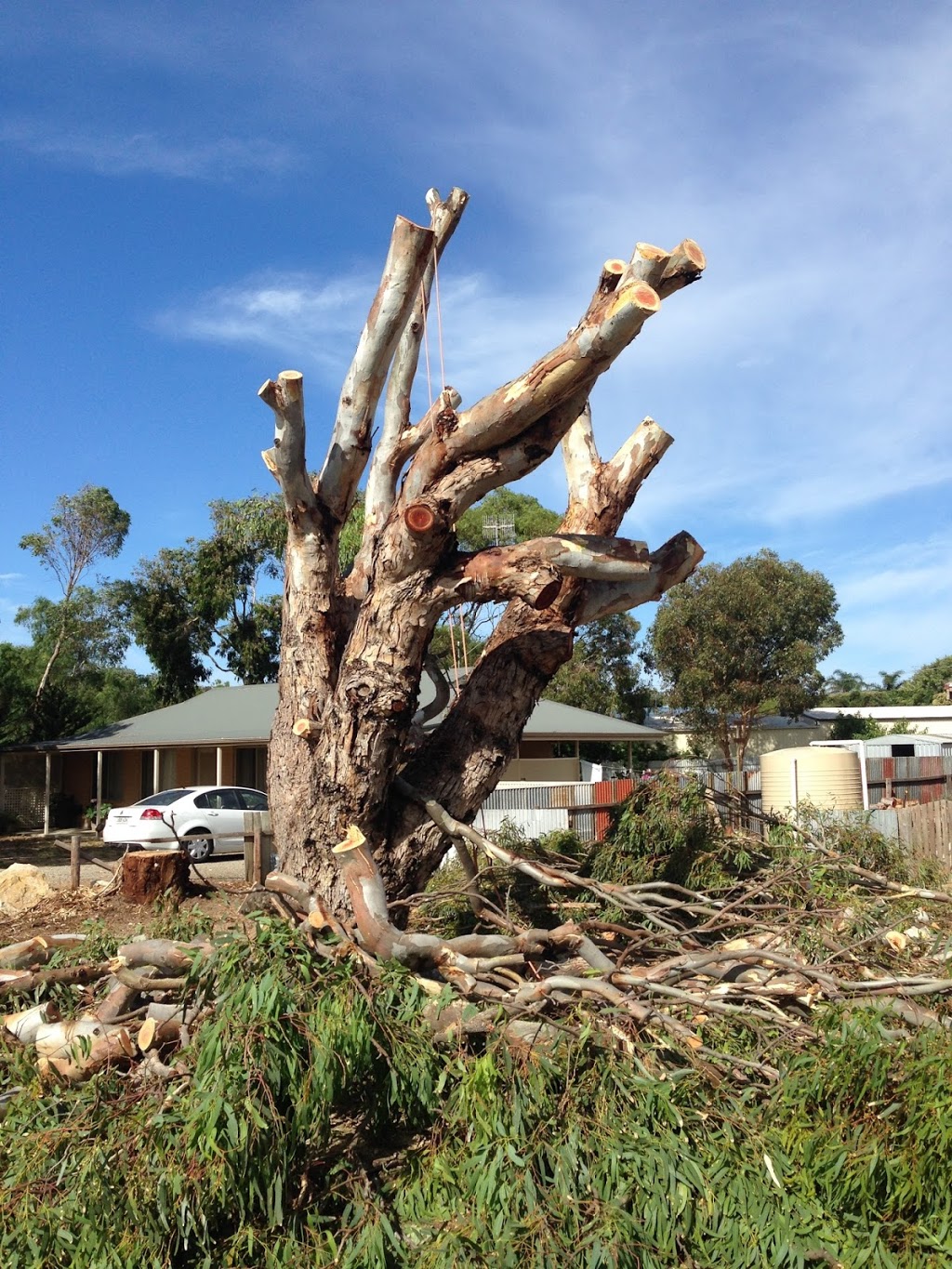 Goolwa Tree Lopping And Removal |  | 2 Holme Cl, Goolwa Beach SA 5214, Australia | 0401942290 OR +61 401 942 290