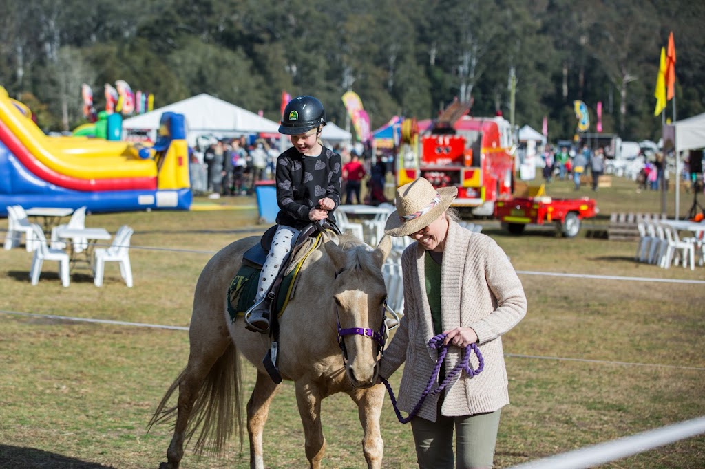 Horses Birthday Kids Festival | 69 Cooks Rd, Glenworth Valley NSW 2250, Australia | Phone: (02) 4375 1222