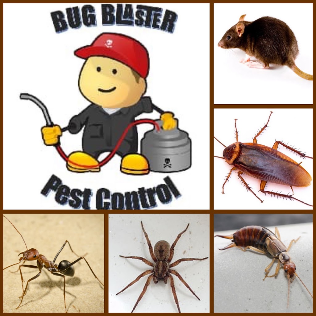 Bug Blaster Pest Control | home goods store | 15 Fielders Walk, Westmeadows VIC 3049, Australia | 0477431766 OR +61 477 431 766