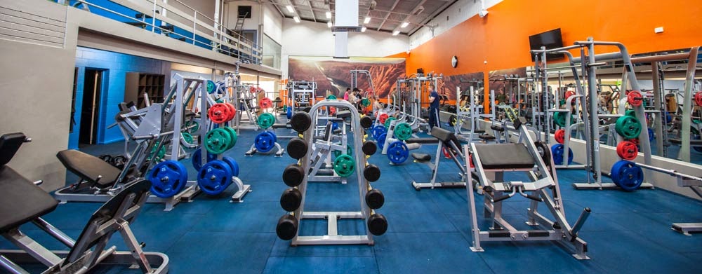 Fitworld Fitness | gym | 226 North East Road, Klemzig SA 5087, Australia | 0872256755 OR +61 8 7225 6755