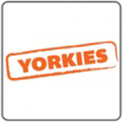 Yorkies | 52 Mortensen Rd, Nerang QLD 4211, Australia | Phone: (07) 5660 9312