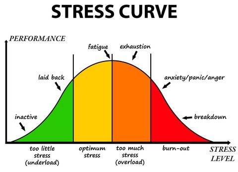 Helen Mason Psychologist & Counselling Services | health | 142 Young Rd, Lambton NSW 2299, Australia | 0425242119 OR +61 425 242 119