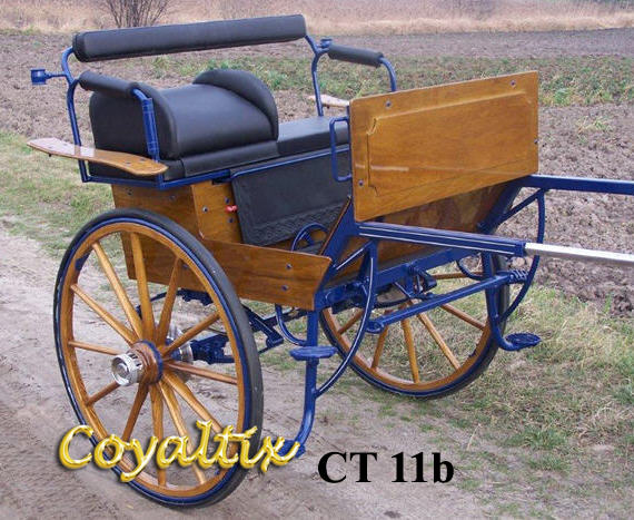 Coyaltix Carriages Australia | store | 65 Gunn Rd, Benalla VIC 3672, Australia | 0458251697 OR +61 458 251 697