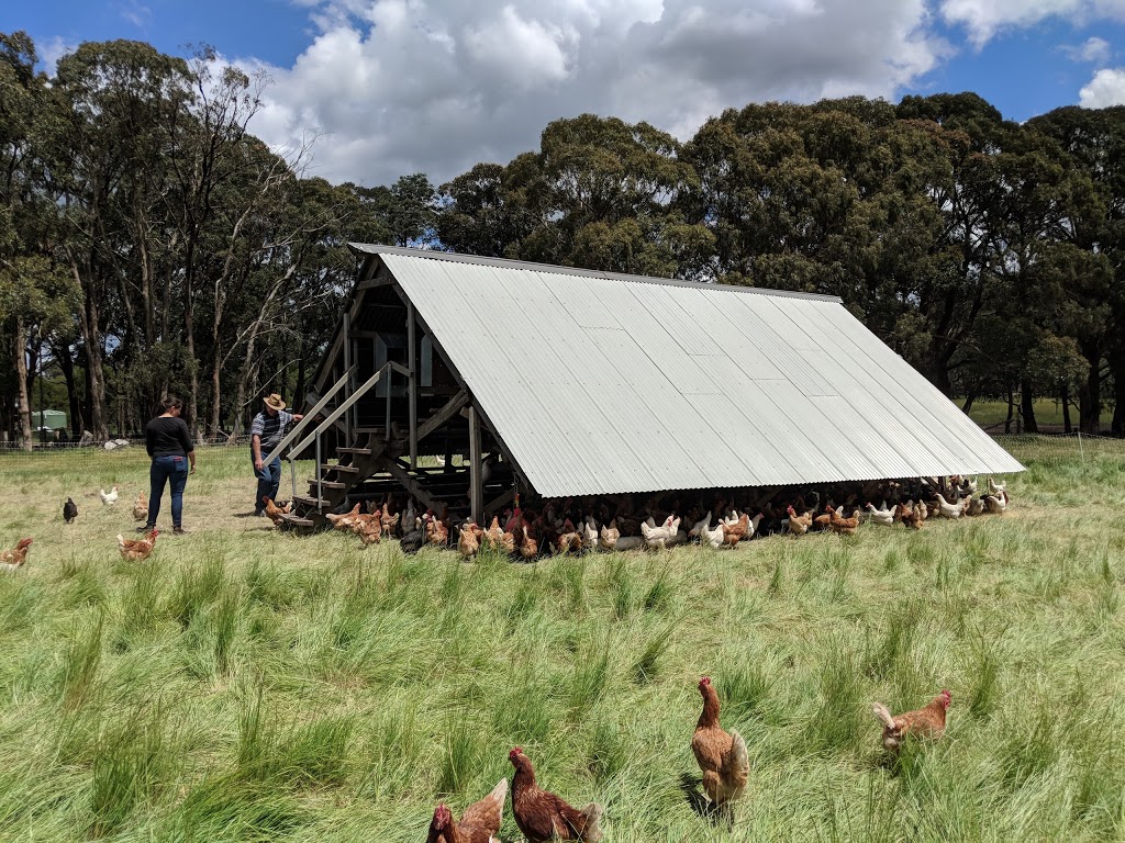 Taranaki Farm | 5 Falloons Rd, Woodend VIC 3442, Australia | Phone: 0409 980 438