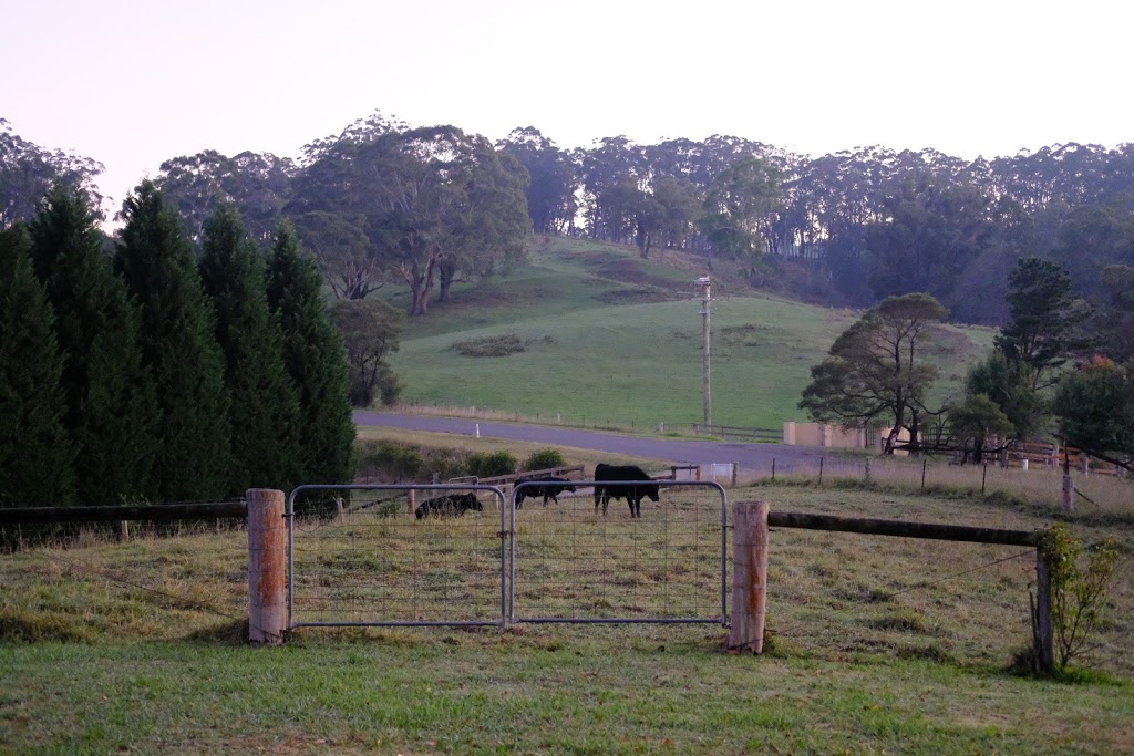 The Pines Pastoral | lodging | Meryla Rd, Moss Vale NSW 2577, Australia | 0418200138 OR +61 418 200 138