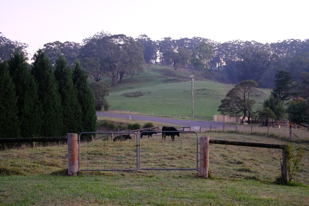 The Pines Pastoral | Meryla Rd, Moss Vale NSW 2577, Australia | Phone: 0418 200 138