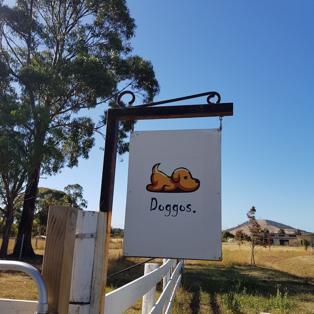 Doggos on Shelomith | 97 Shelomith Dr, Acton Park TAS 7170, Australia | Phone: 0439 984 260