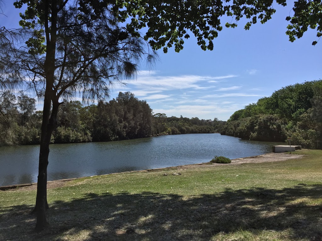 Mackey Park | park | Carrington Rd & Richardsons Crescent, Marrickville NSW 2204, Australia | 0293352222 OR +61 2 9335 2222