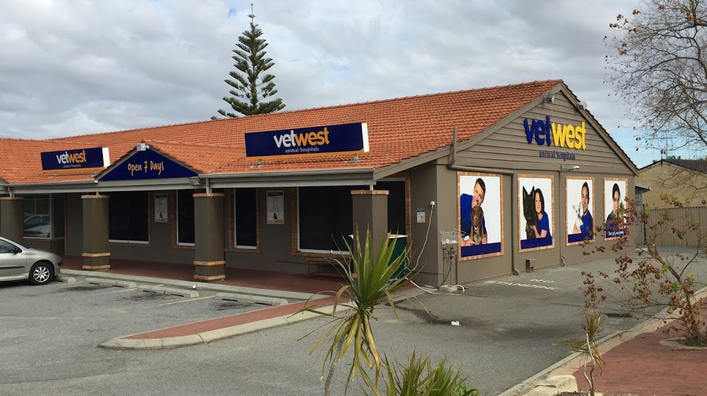 Vetwest Animal Hospitals Ballajura | 110 Illawarra Cres, Ballajura WA 6066, Australia | Phone: (08) 9404 1150