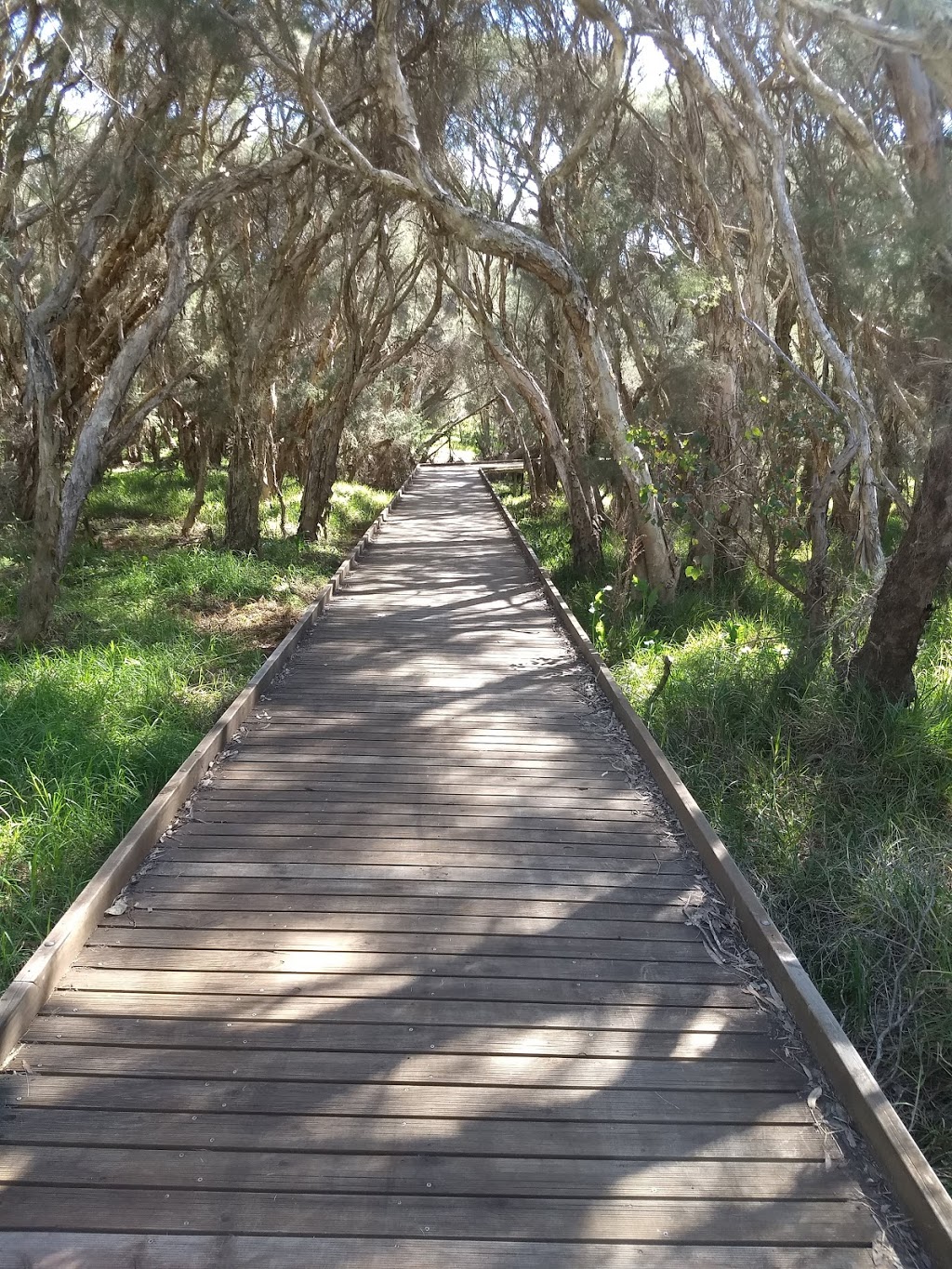 Memorial Park | park | Boddington WA 6390, Australia