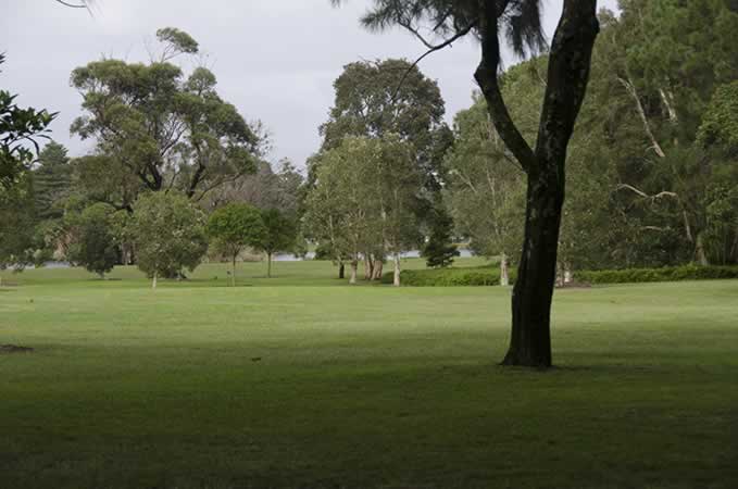 Tai Chi Sydney | Dickens Drive Centennial Park, Labyrinth, Sydney NSW 2021, Australia | Phone: 0415 689 638