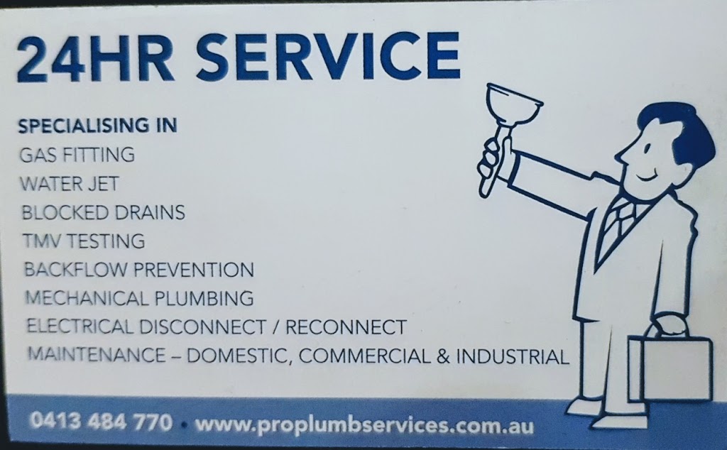 Professional Plumbing Services Australia Pty Ltd | Thornleigh NSW 2120, Australia