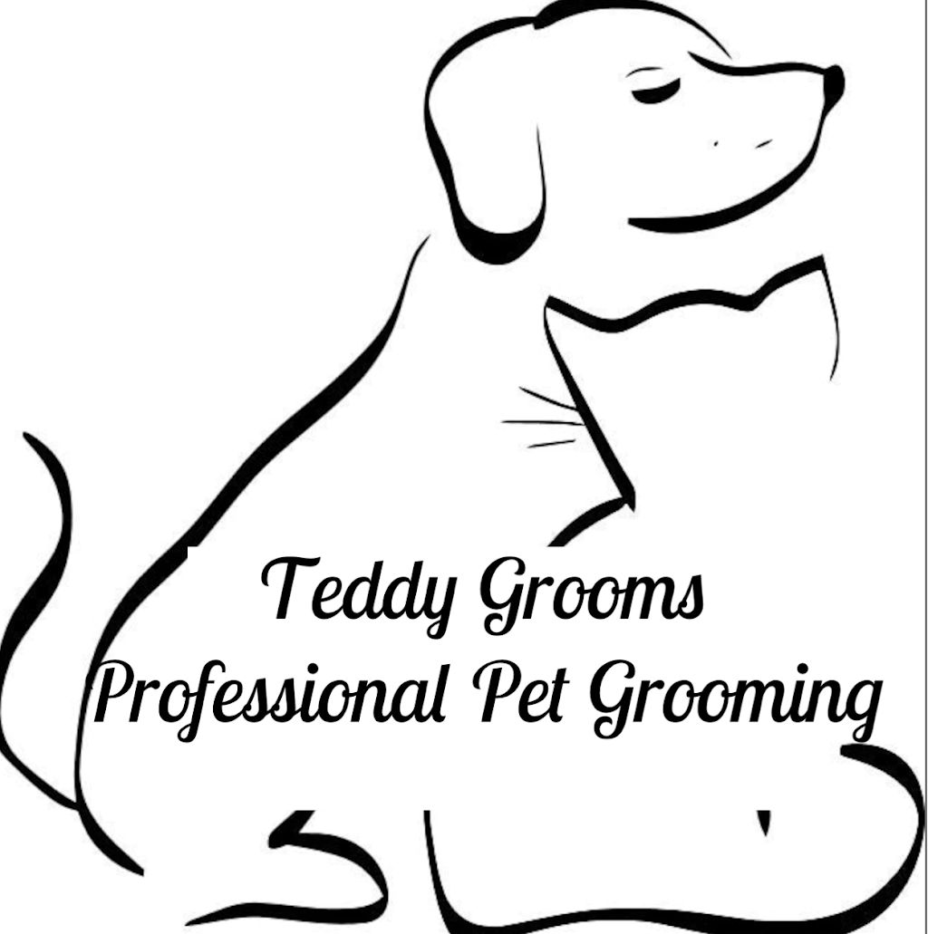 Teddy Grooms Professional Dog Grooming | point of interest | Diamond Creek Rd, Diamond Creek VIC 3089, Australia | 0413792156 OR +61 413 792 156