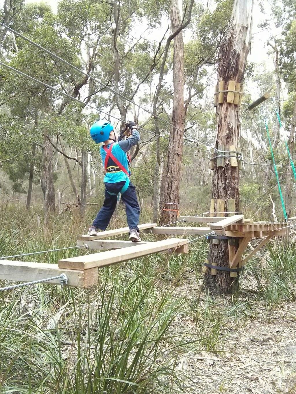 Planet Mud Outdoor Adventures | 85 Bingami Rd, Yeodene VIC 3249, Australia | Phone: (03) 5233 4620