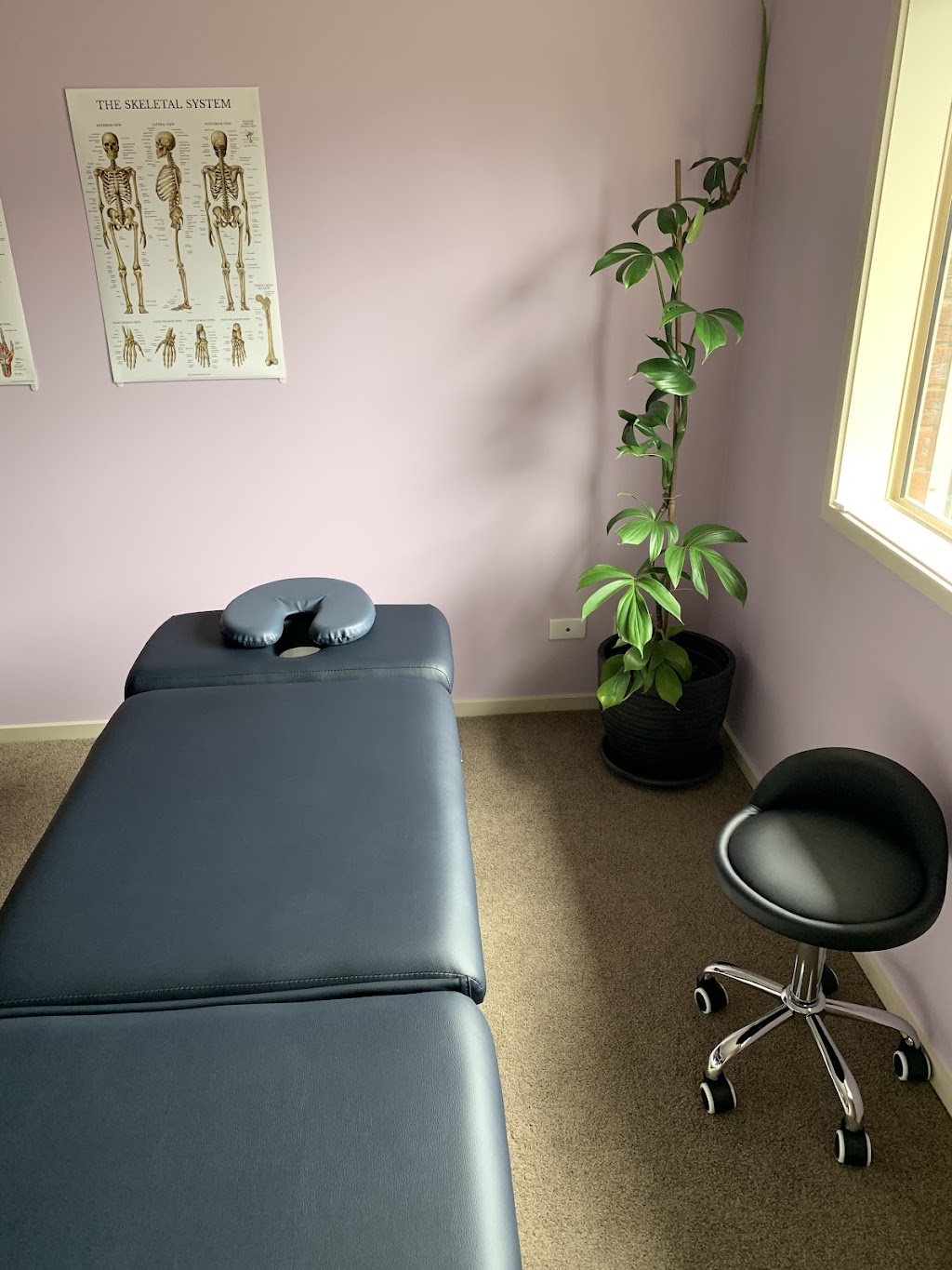 Doreen Physiotherapy | 24 Sassafras Ave, Doreen VIC 3754, Australia | Phone: 0403 729 108