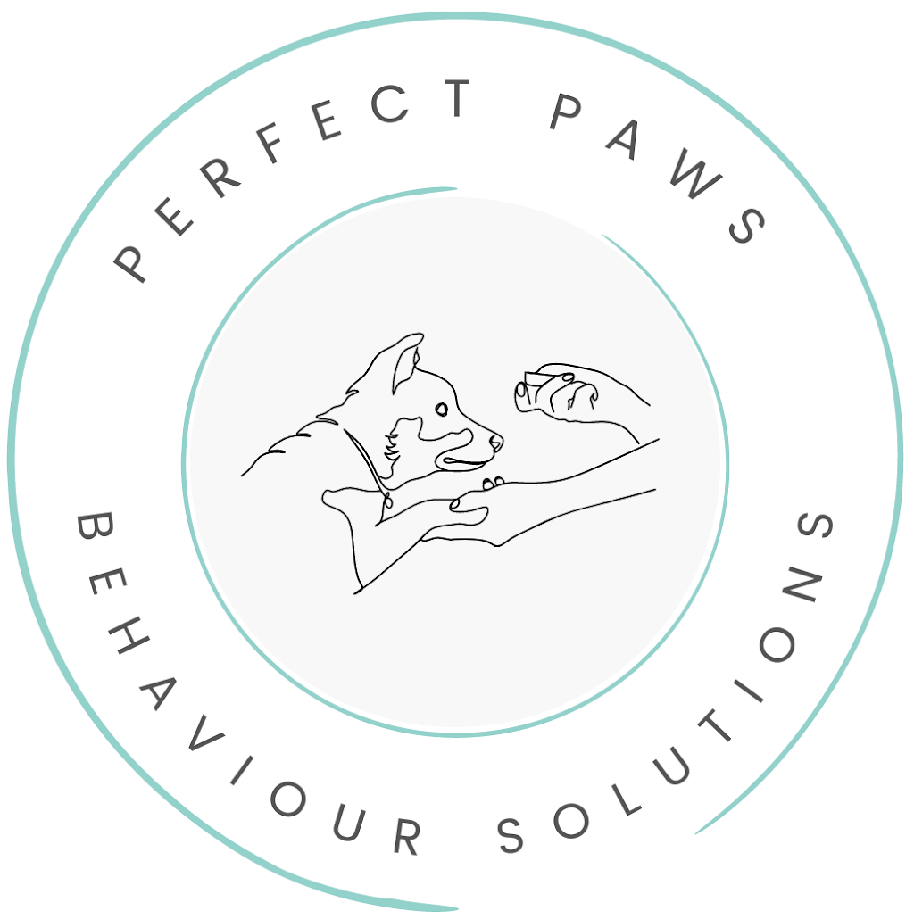 Perfect Paws Behaviour Solutions | Seville Community Hall, 590/602, B380, Warburton Hwy, Seville VIC 3139, Australia | Phone: 0479 151 920