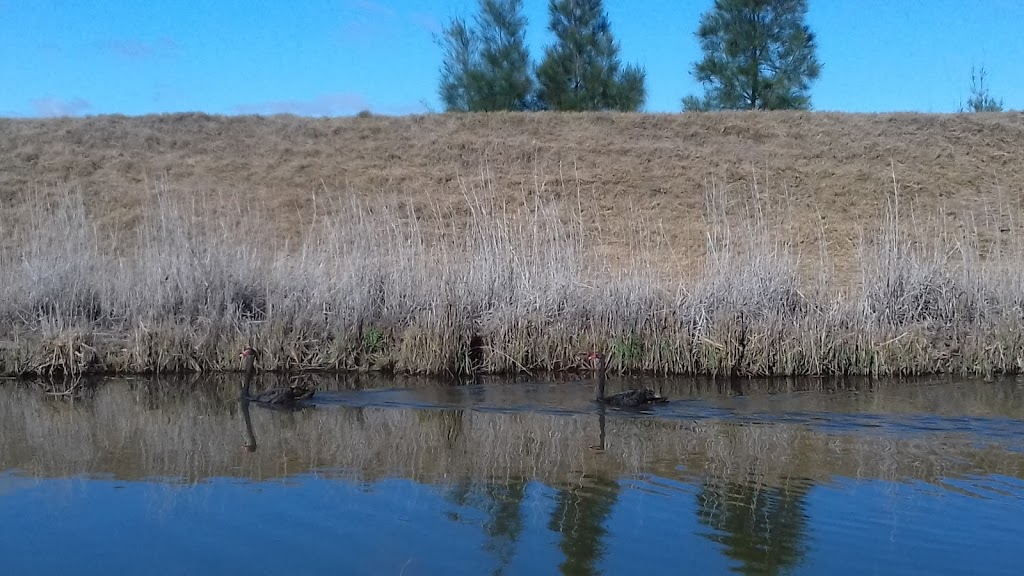 Everlasting Swamp National Park | park | Lower Southgate NSW 2460, Australia