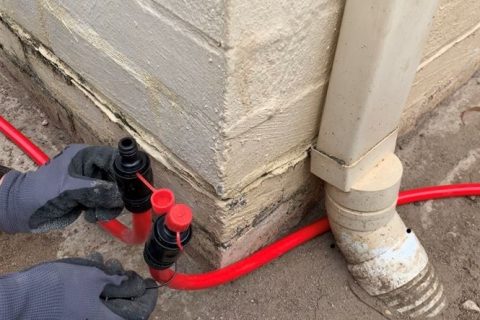 Asset Guard Pest Control | 5 Aletta St, Shailer Park QLD 4128, Australia | Phone: 0481 090 563