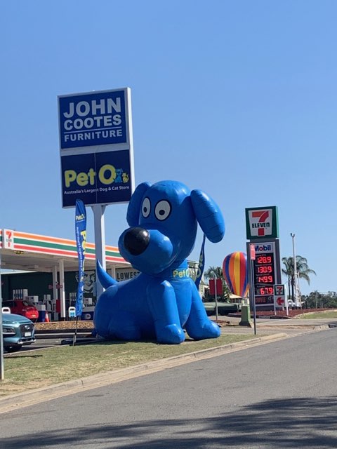 PetO Penrith | pet store | Next to Dan Murphys, 13 Aspen St, South Penrith NSW 2750, Australia | 0247361303 OR +61 2 4736 1303