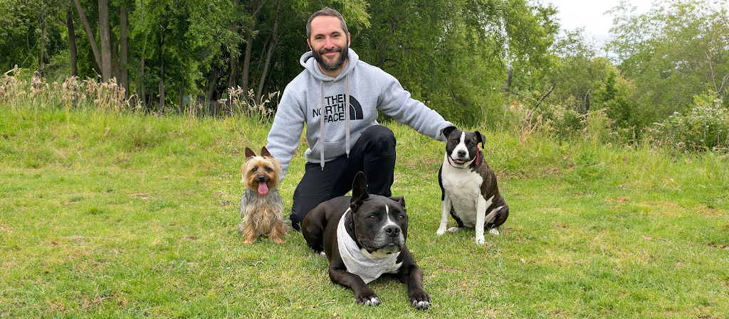 Big Head Dog Training | 147 Vulcan St, Moruya NSW 2537, Australia | Phone: 0404 217 087