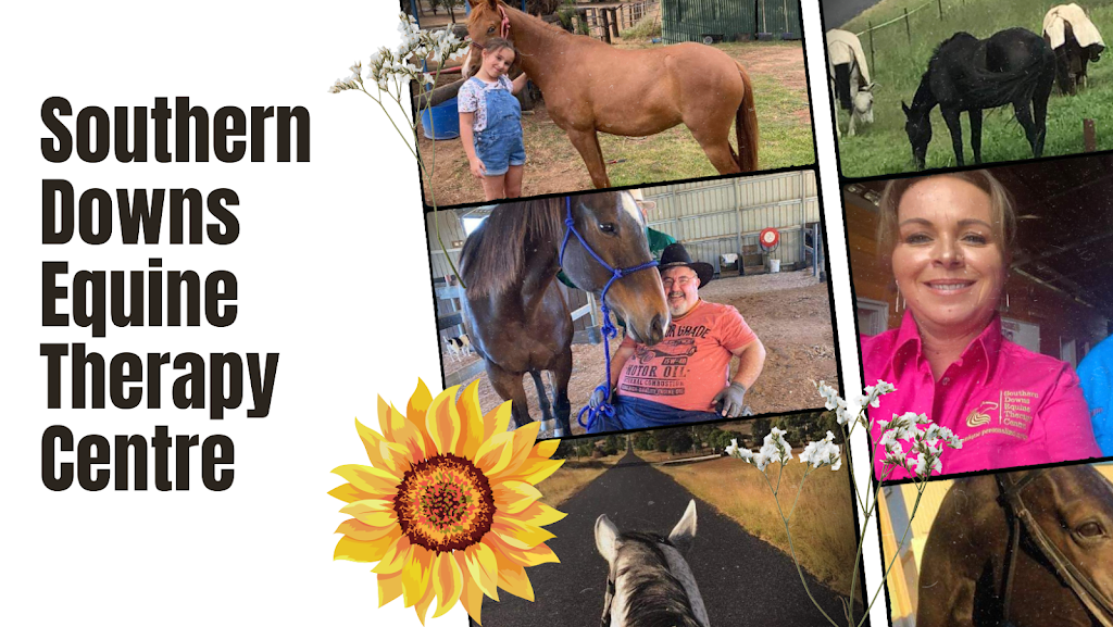 Southern Downs Equine Therapy Centre | 350 Bracker Rd, Warwick QLD 4370, Australia | Phone: 0401 059 008