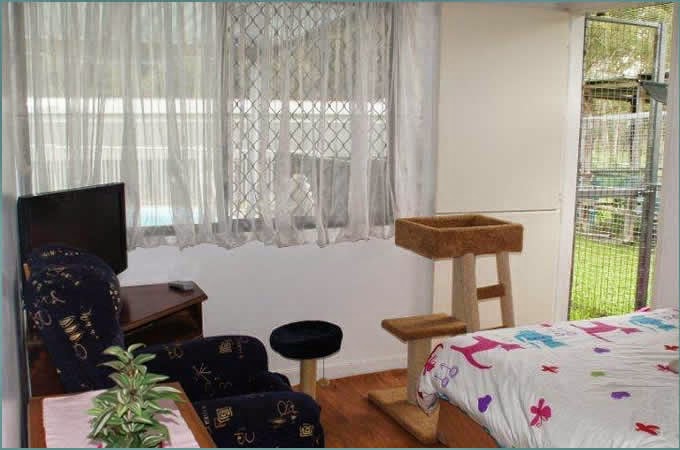 Castle Cattery | 221 Carter Rd, Munruben QLD 4125, Australia | Phone: (07) 3802 1337