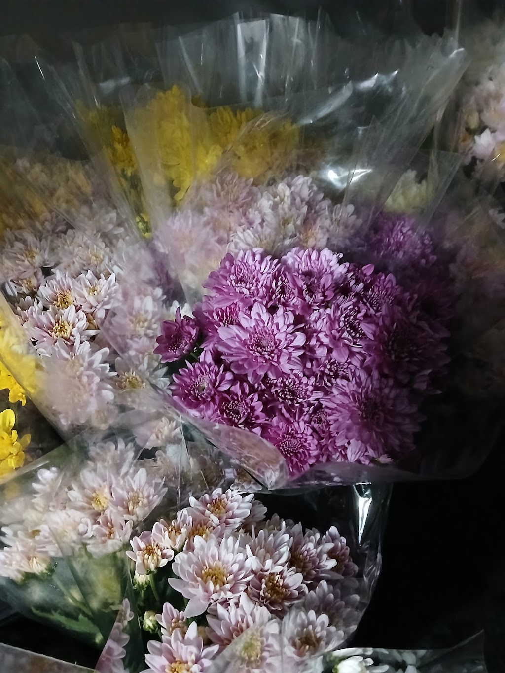 Fragrance in a Flower | 429 Kerry Rd, Beaudesert QLD 4285, Australia | Phone: 0409 485 354