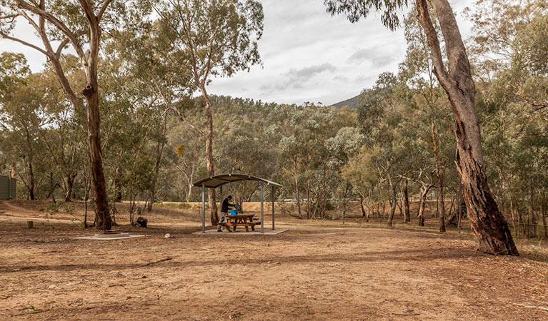 Pinch River campground | campground | Horseshoe Camping Area Access, Kosciuszko National Park NSW 2627, Australia | 0264505600 OR +61 2 6450 5600