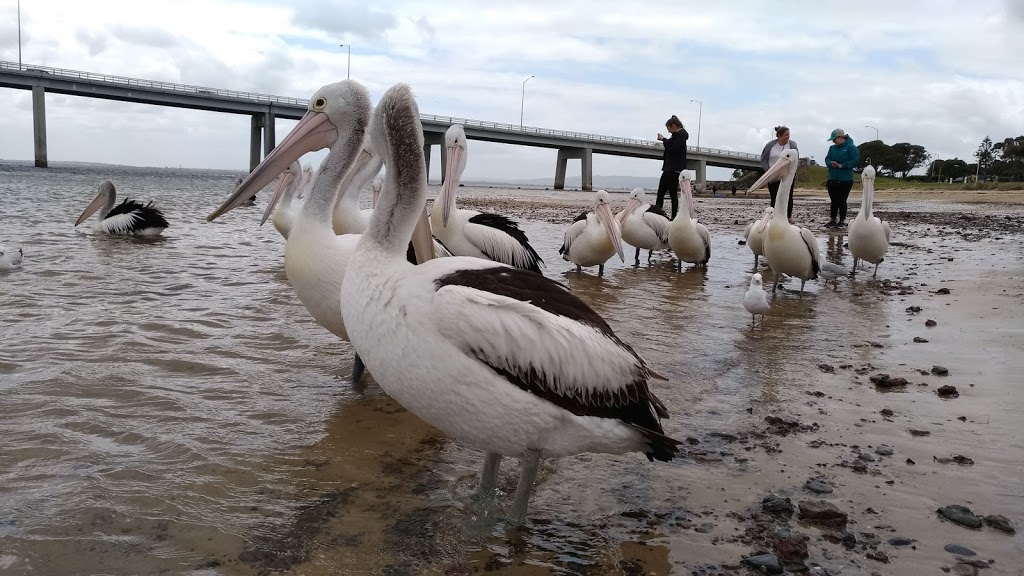 San Remo Park | park | Marine Parade, San Remo VIC 3925, Australia