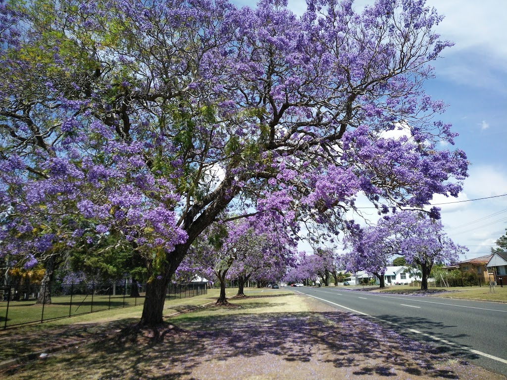 General Douglas MacArthur Park | park | Grafton NSW 2460, Australia