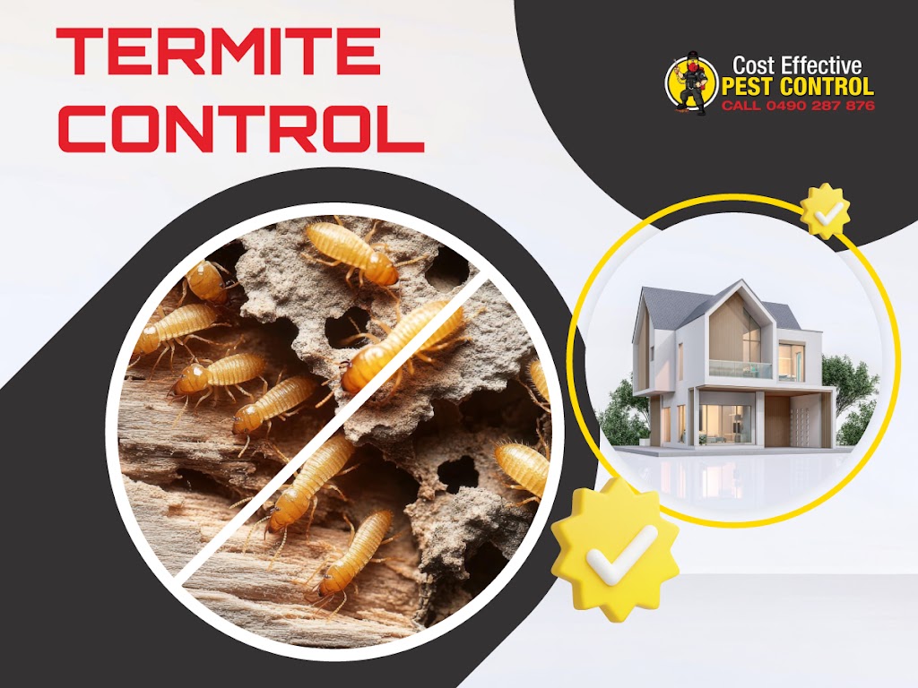 Cost Effective Pest Control | 117 Lake Entrance Rd, Barrack Heights NSW 2528, Australia | Phone: 0490 287 876