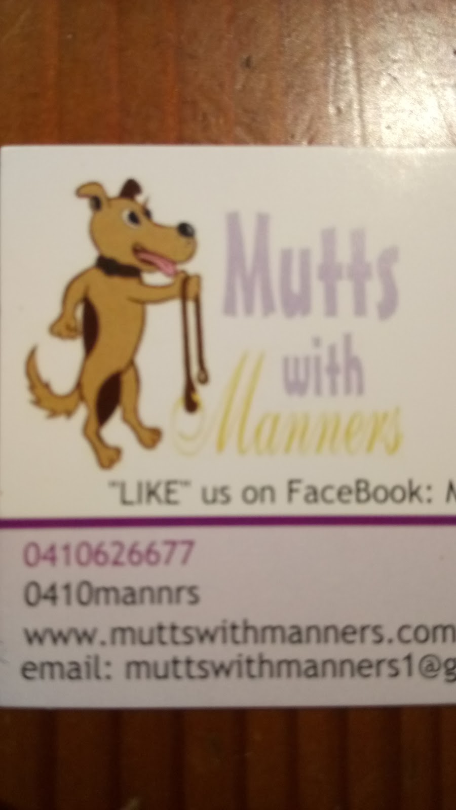 Mutts with Manners | 85C Wigram Rd, Glebe NSW 2037, Australia | Phone: 0410 626 677