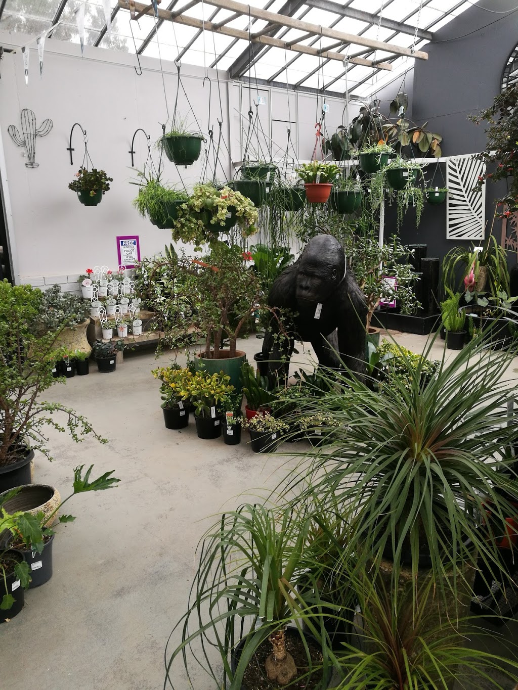 Thomsons Garden Centre | furniture store | 215 McLachlan St, Orange NSW 2800, Australia | 0263623191 OR +61 2 6362 3191