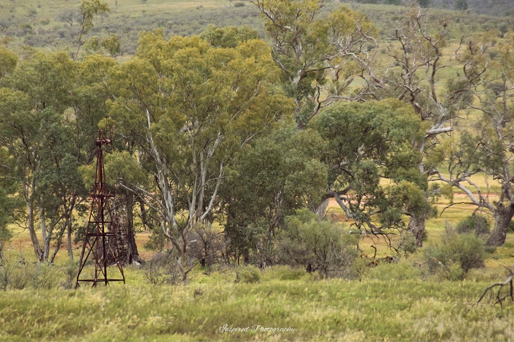 Probys Grave | Yarrah SA 5433, Australia