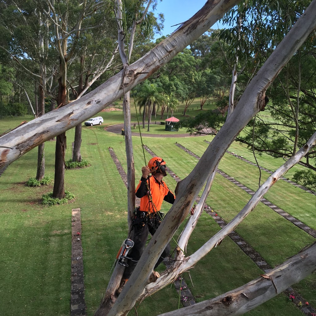 A Cut Above Tree And Garden | Pine Cres, Sandy Beach NSW 2456, Australia | Phone: 0448 422 489