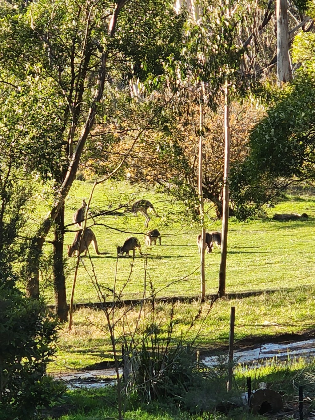Hathill Adams Rock Water & Woodwork Retreat | 35 Bettington Rd, Blackheath NSW 2785, Australia | Phone: 0409 444 760