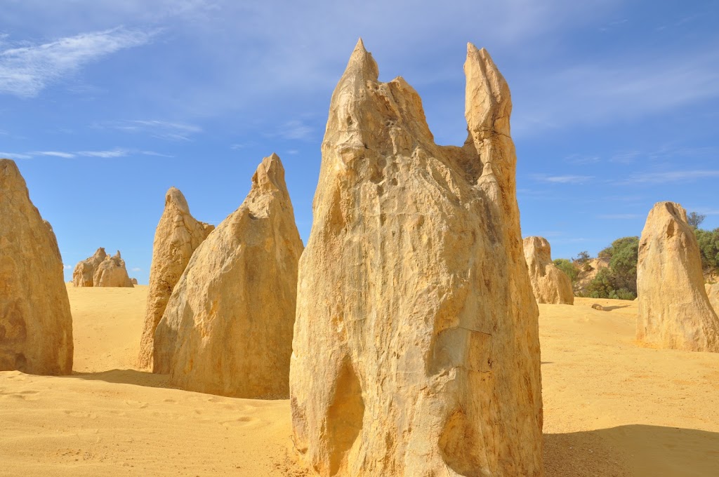 View Point at The Pinnacles | tourist attraction | Nambung WA 6521, Australia | 0896527913 OR +61 8 9652 7913