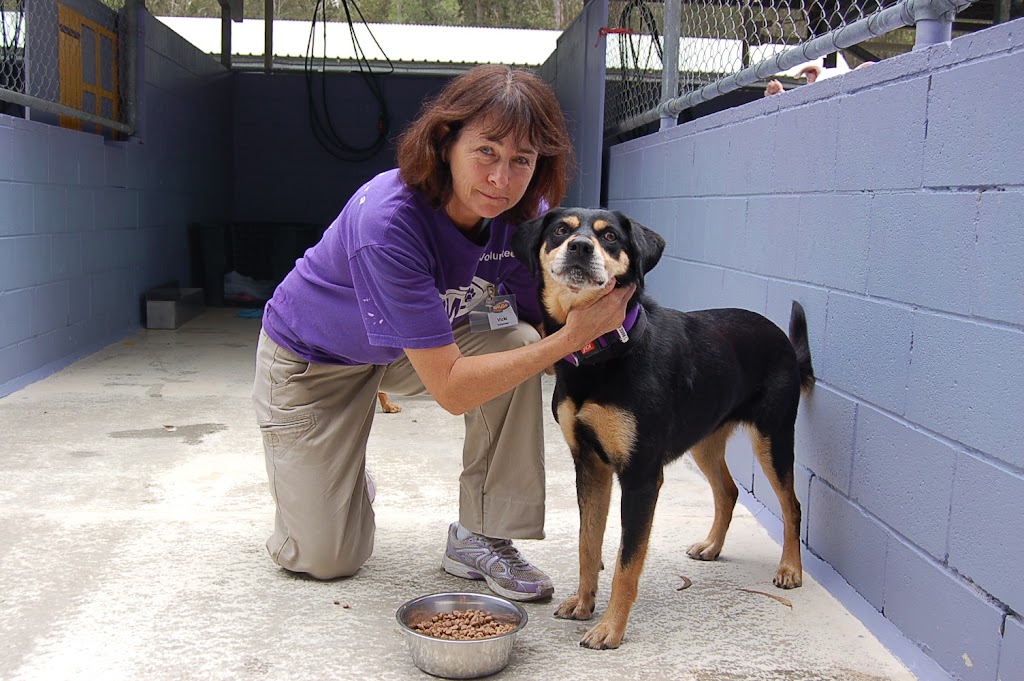 Animal Welfare League Qld | 6 Hooper St, West Ipswich QLD 4305, Australia | Phone: (07) 3059 7131