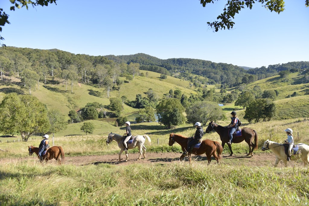 Kiah Park Horse Riding Camp | travel agency | 578 Beenham Valley Rd, Beenaam Valley QLD 4570, Australia | 0754866166 OR +61 7 5486 6166