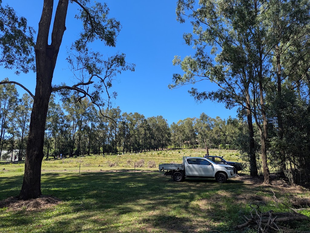 The Longan Farm | 359 Raynbird Rd, Narangba QLD 4504, Australia | Phone: 0482 978 053