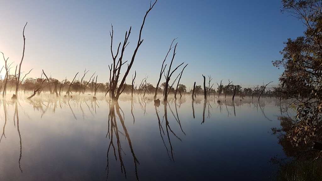 Mullinger Swamp | park | Kybybolite SA 5262, Australia