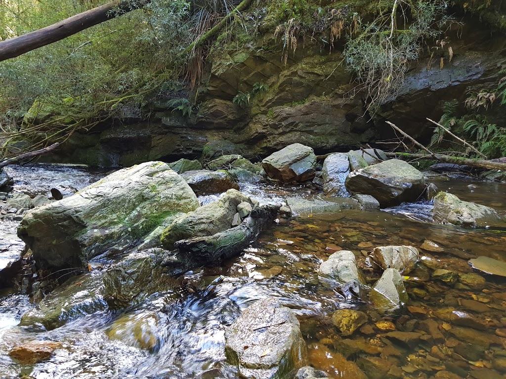 Holwell Gorge State Reserve | park | Holwell TAS 7275, Australia