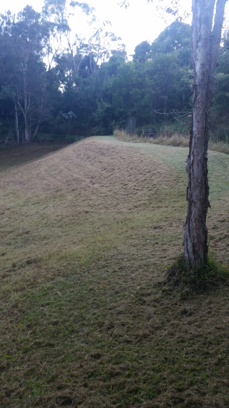 Clay’s Earthworks | general contractor | Black Mountain Rd, Cooroy QLD 4563, Australia | 0428466563 OR +61 428 466 563