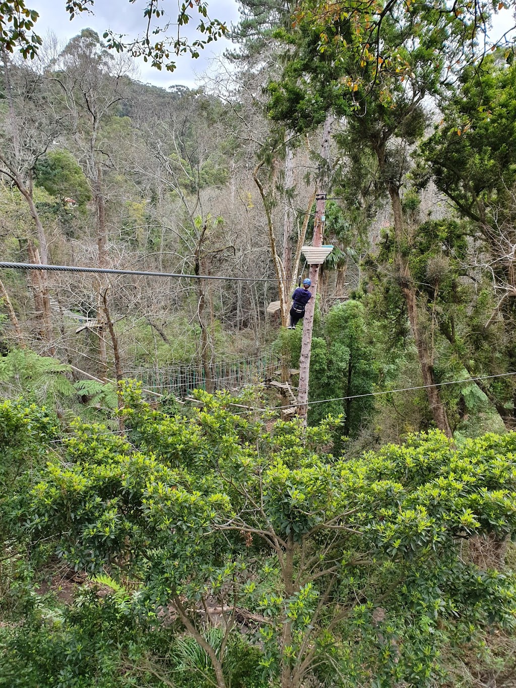 Trees Adventure - Glen Harrow Park | tourist attraction | Old Monbulk Rd, Belgrave VIC 3160, Australia | 0397525354 OR +61 3 9752 5354